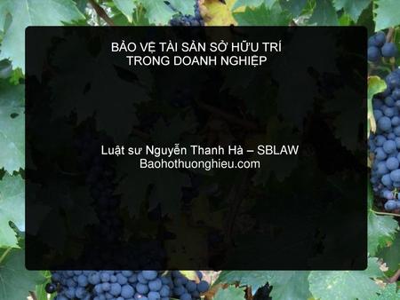 Luật sư Nguyễn Thanh Hà – SBLAW