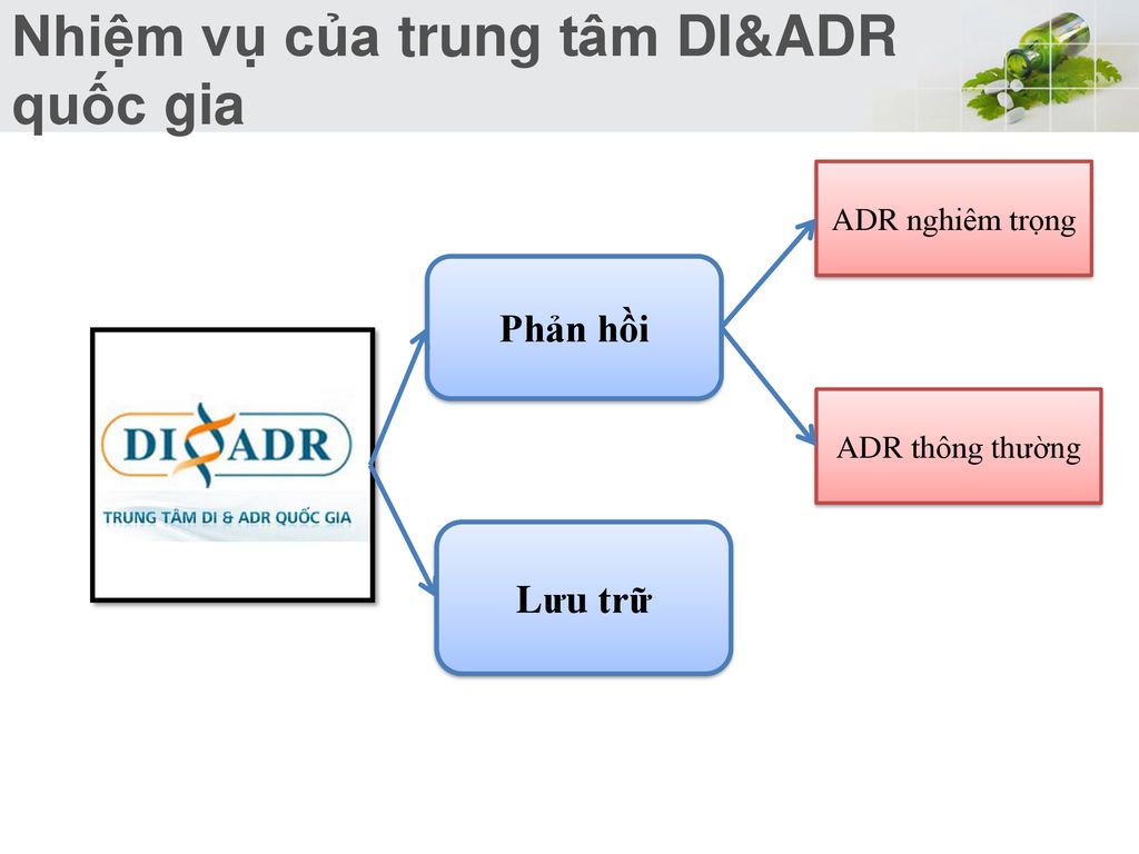 Nhiệm vụ của trung tâm DI&ADR quốc gia