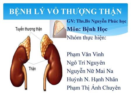 BỆNH LÝ VỎ THƯỢNG THẬN Môn: Bệnh Học Nhóm thực hiện: Phạm Văn Vinh
