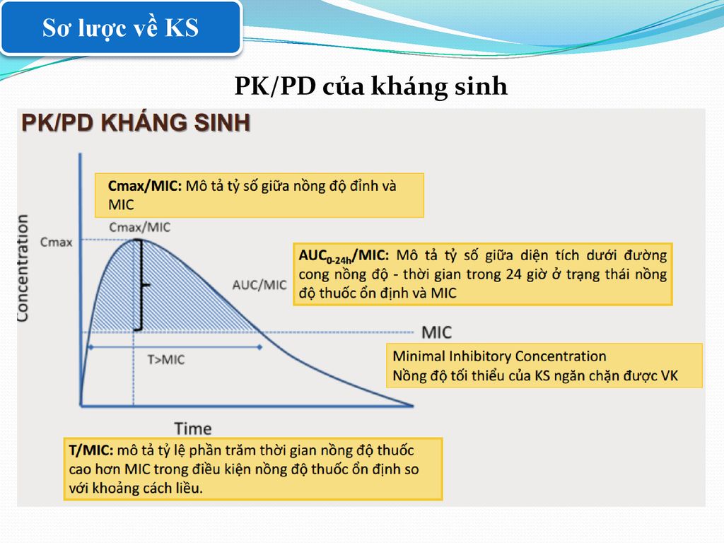 Sơ lược về KS PK/PD của kháng sinh