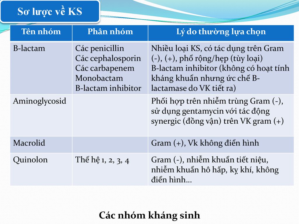 Sơ lược về KS Các nhóm kháng sinh Tên nhóm Phân nhóm