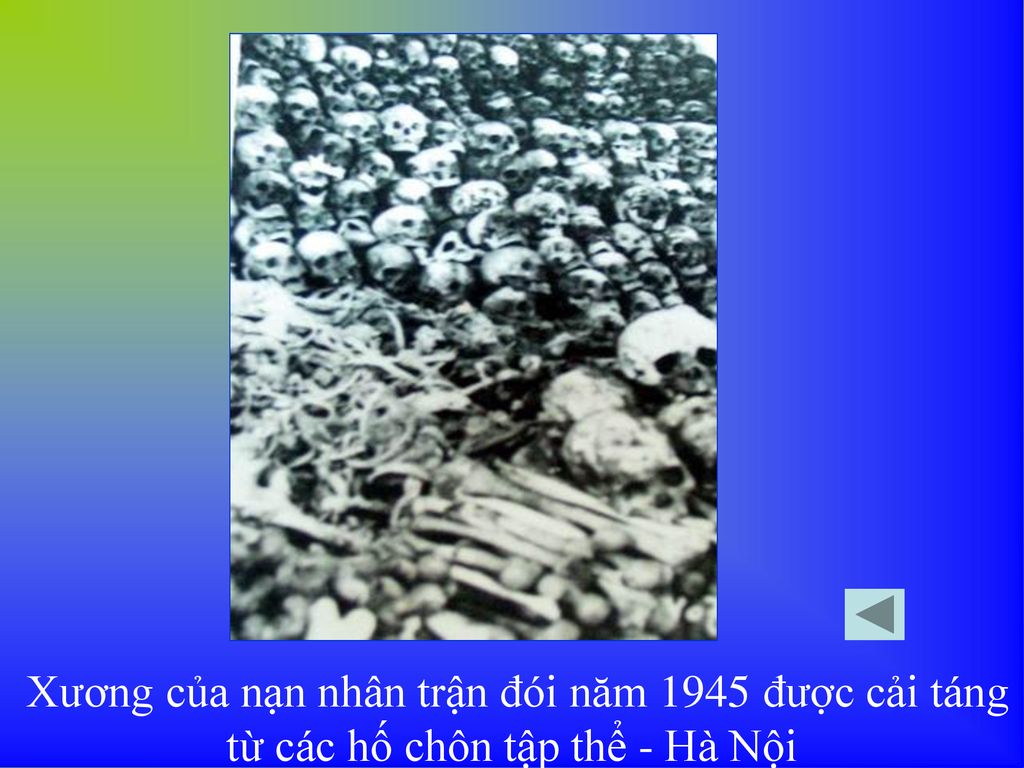 Xương của nạn nhân trận đói năm 1945 được cải táng từ các hố chôn tập thể - Hà Nội