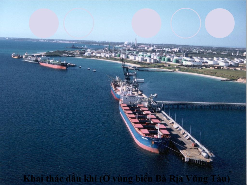 Khai thác dầu khí (Ở vùng biển Bà Rịa Vũng Tàu)