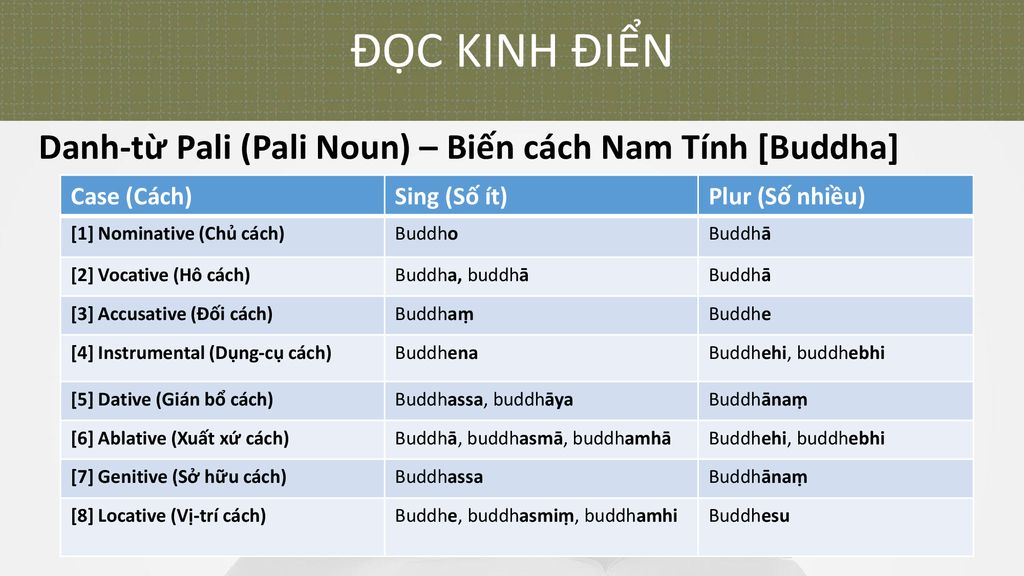 ĐỌC KINH ĐIỂN Danh-từ Pali (Pali Noun) – Biến cách Nam Tính [Buddha]