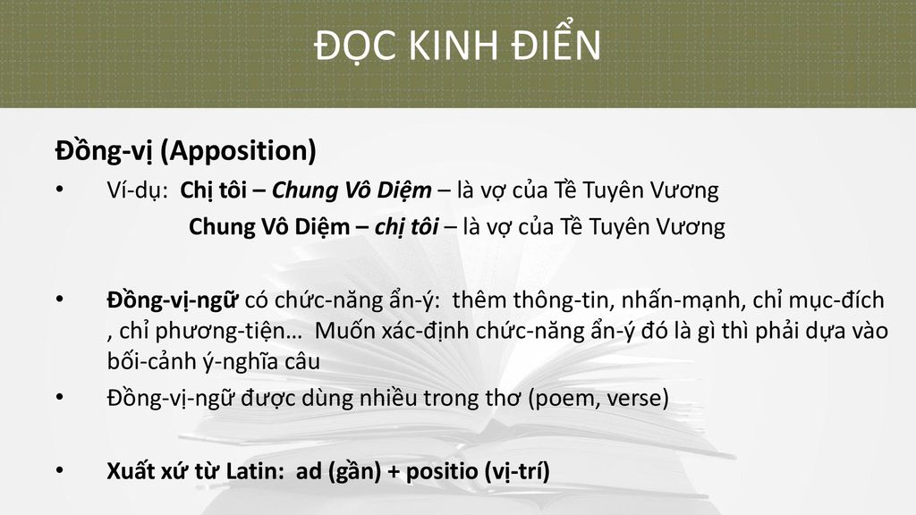 ĐỌC KINH ĐIỂN Đồng-vị (Apposition)