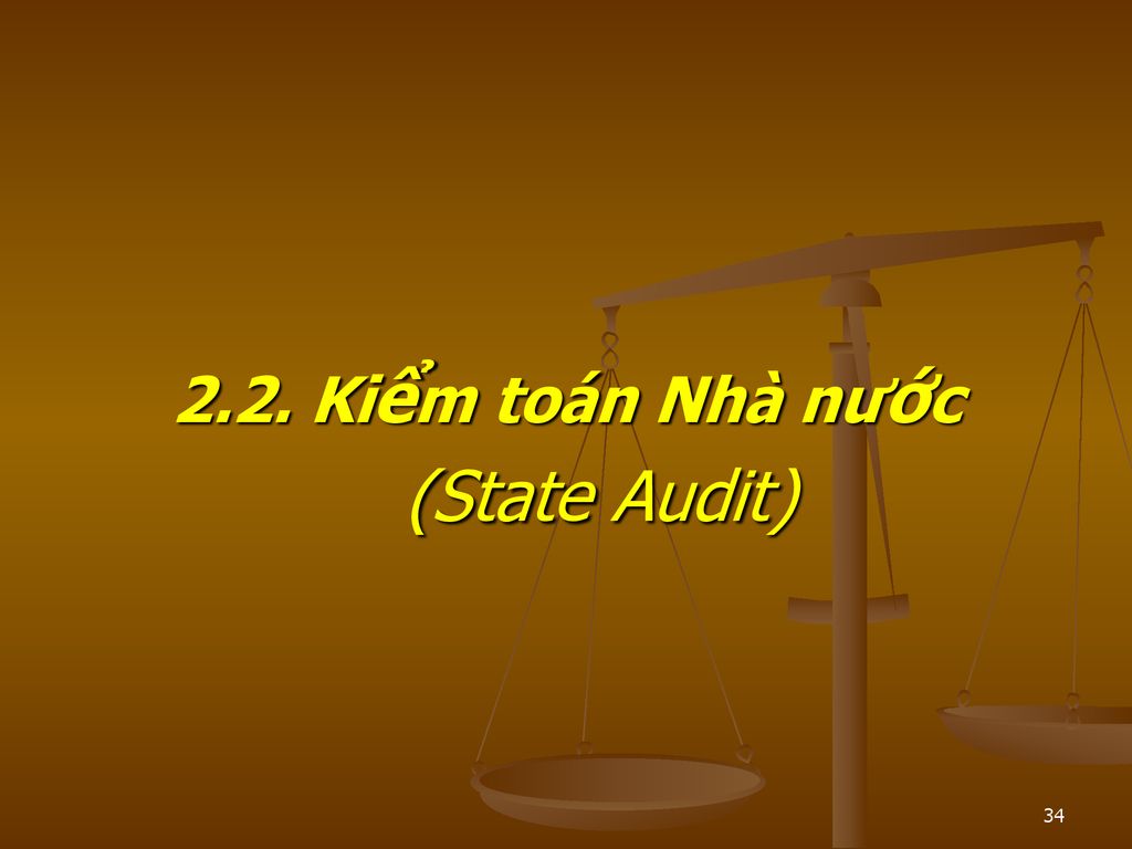 2.2. Kiểm toán Nhà nước (State Audit)