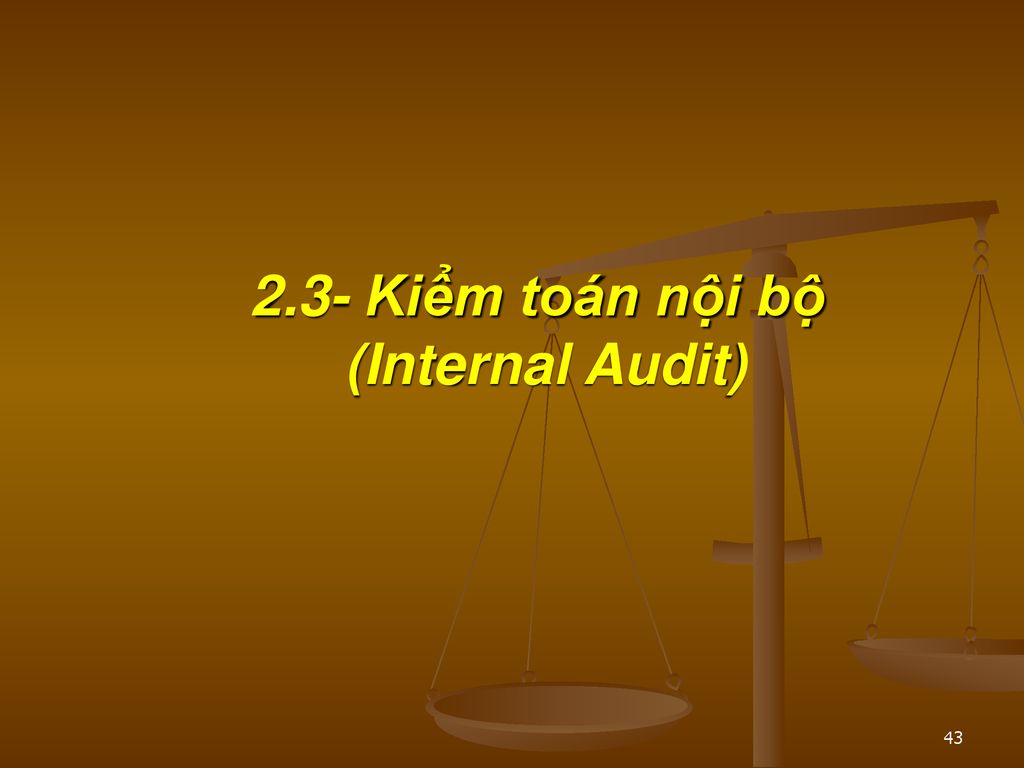 2.3- Kiểm toán nội bộ (Internal Audit)