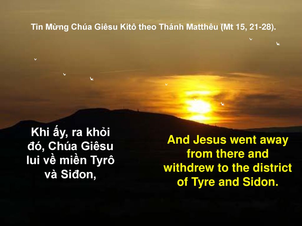 Khi ấy, ra khỏi đó, Chúa Giêsu lui về miền Tyrô và Siđon,