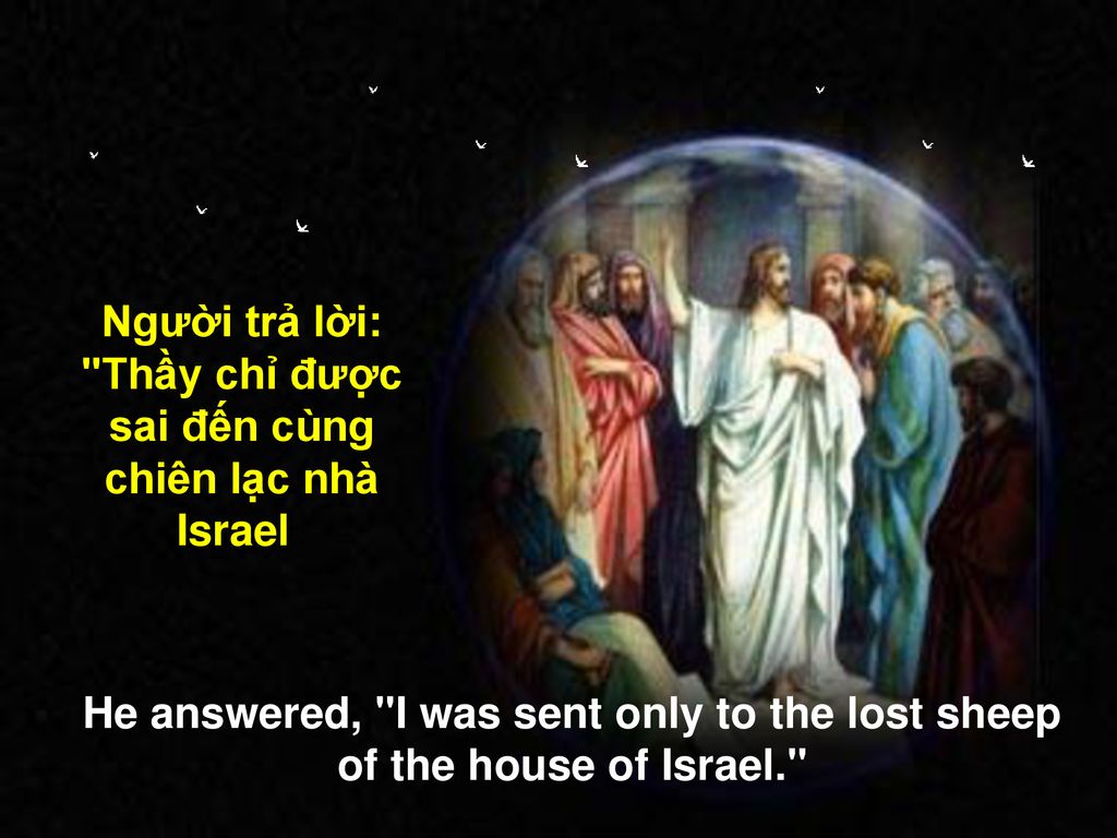 Người trả lời: Thầy chỉ được sai đến cùng chiên lạc nhà Israel .