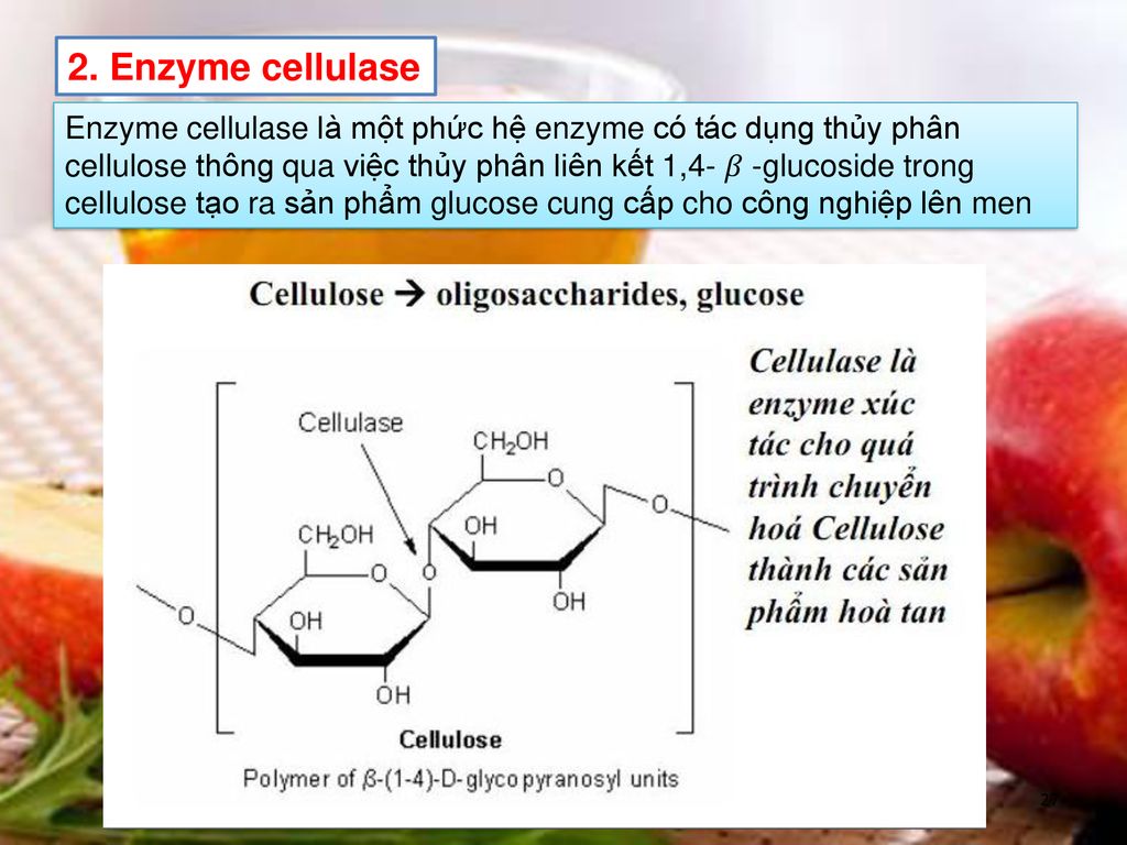 2. Enzyme cellulase