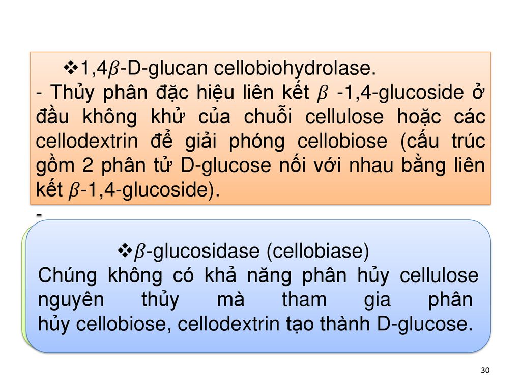 1,4𝛽-D-glucan cellobiohydrolase.