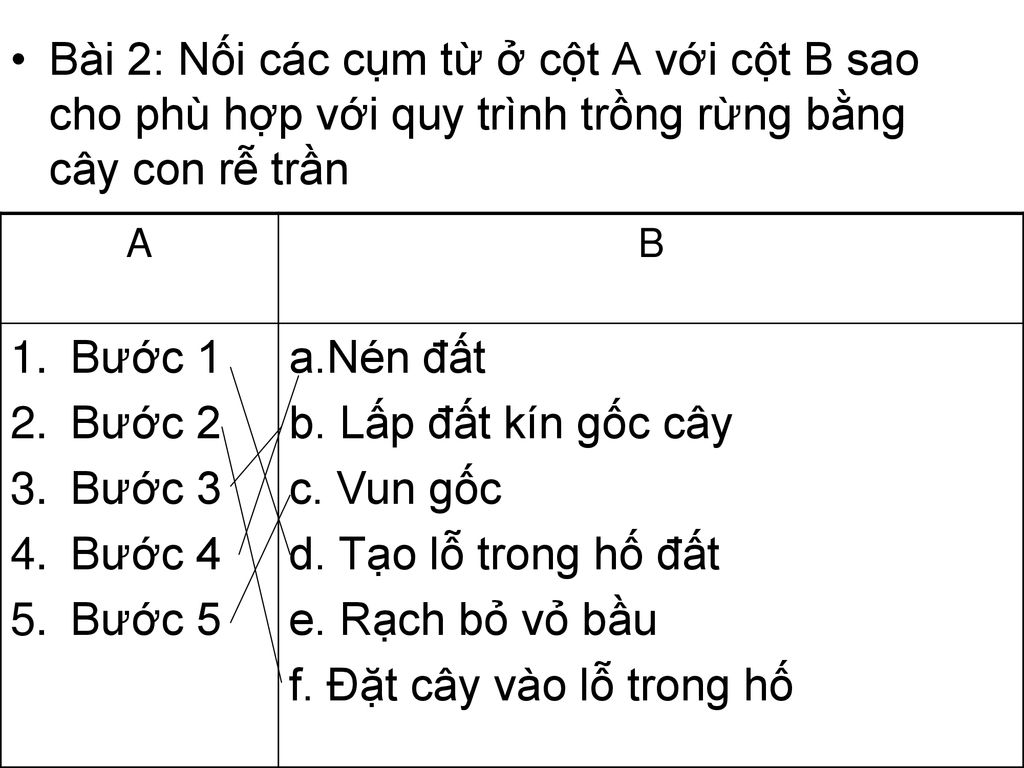 Bài 2: Nối các cụm từ ở cột A với cột B sao cho phù hợp với quy trình trồng rừng bằng cây con rễ trần