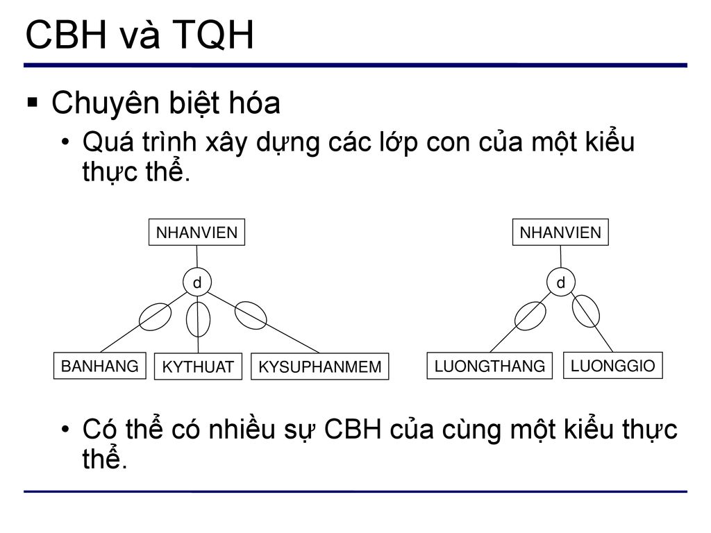 CBH và TQH Chuyên biệt hóa