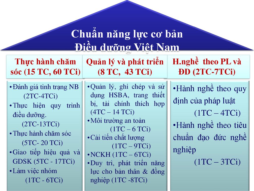 Chuẩn năng lực cơ bản Điều dưỡng Việt Nam