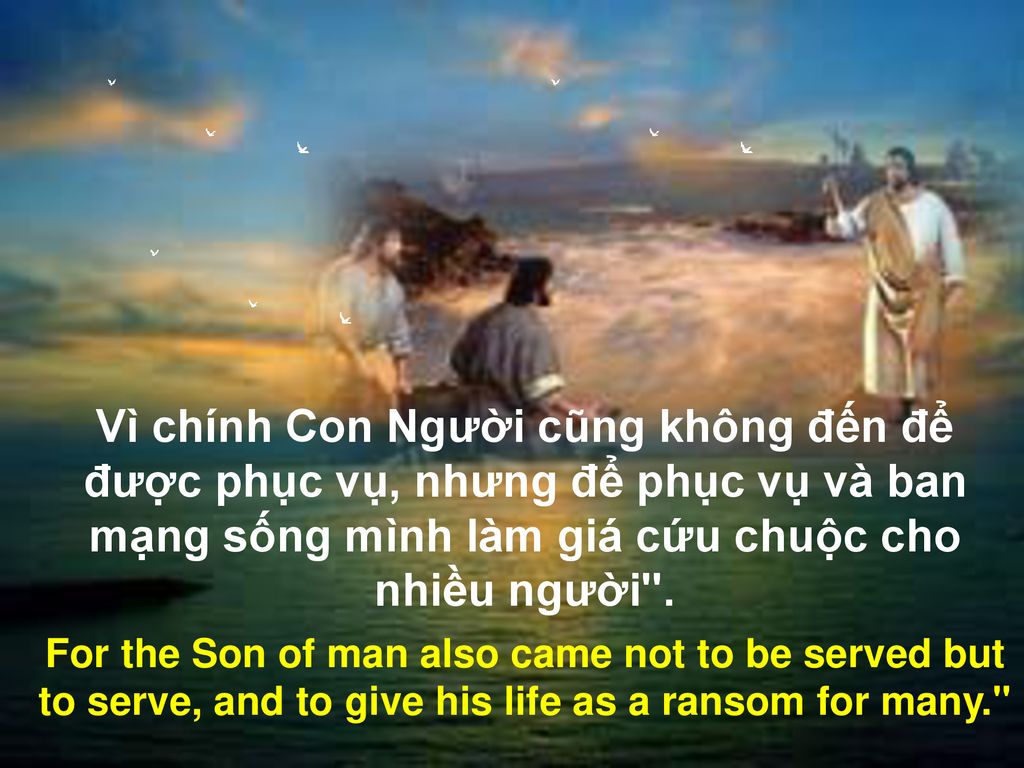 Vì chính Con Người cũng không đến để được phục vụ, nhưng để phục vụ và ban mạng sống mình làm giá cứu chuộc cho nhiều người .