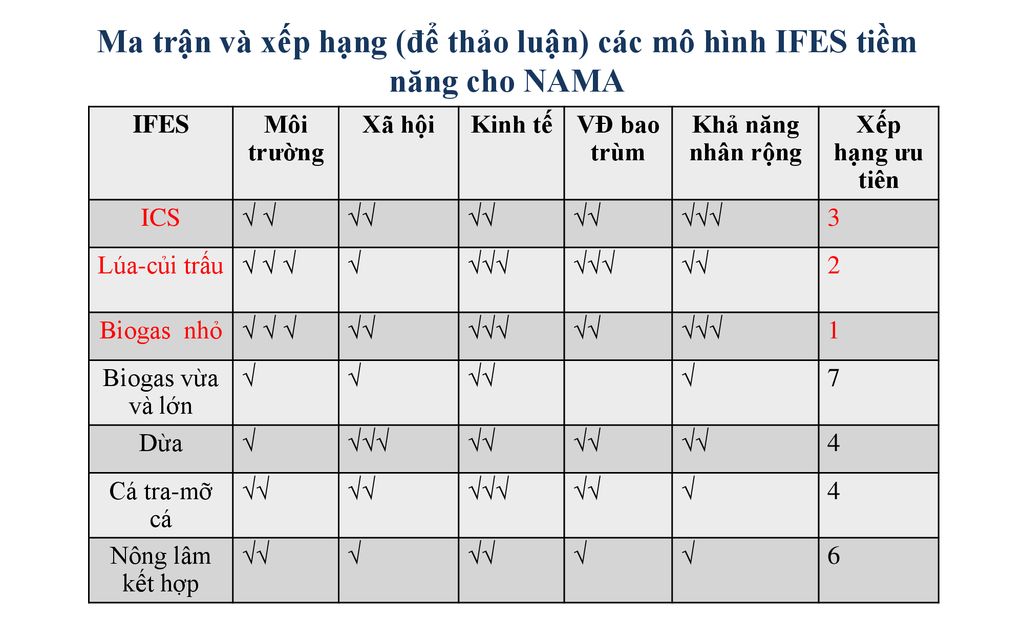 Ma trận và xếp hạng (để thảo luận) các mô hình IFES tiềm năng cho NAMA