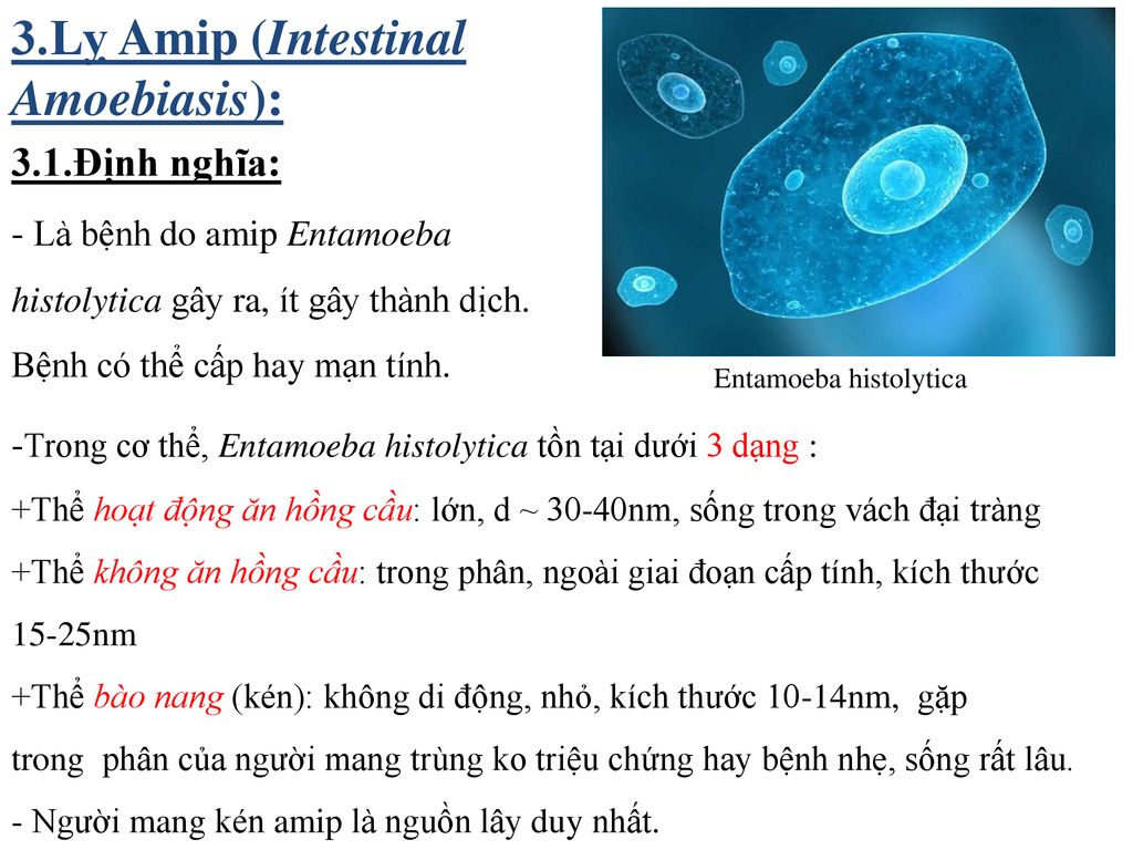 3.Lỵ Amip (Intestinal Amoebiasis):