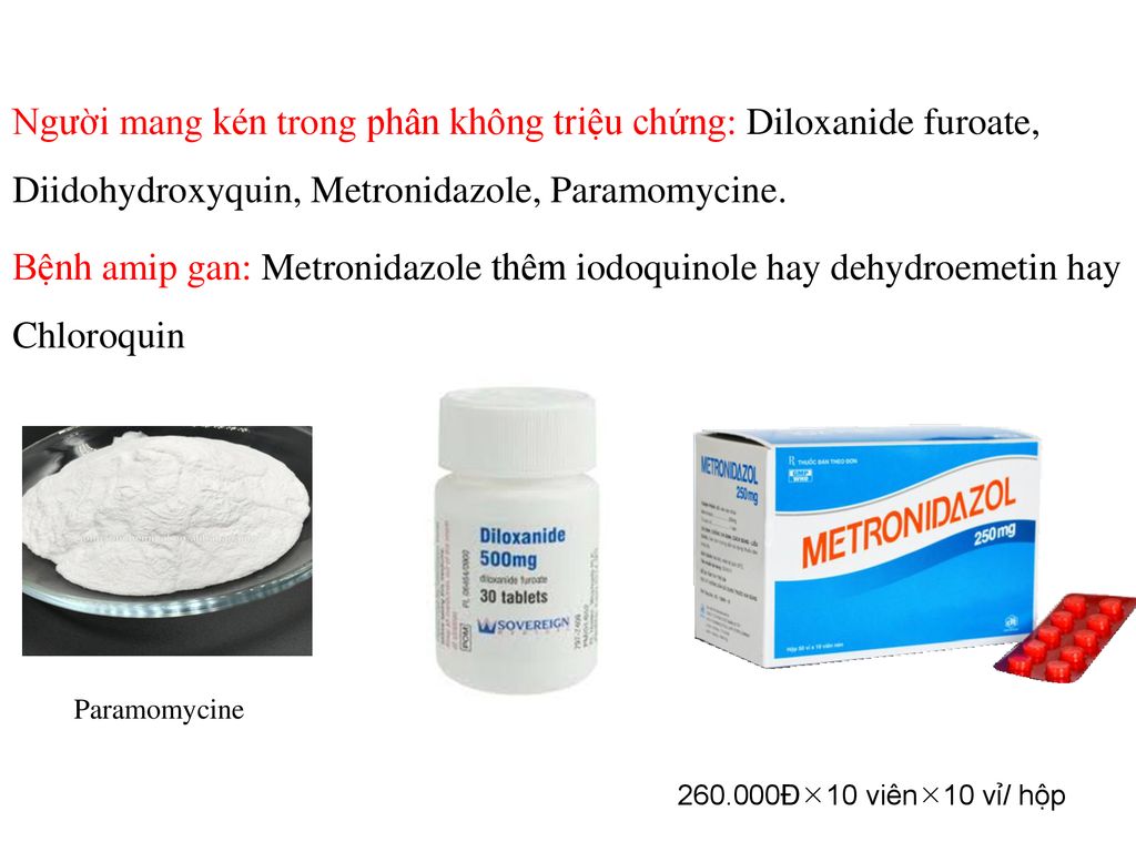 Người mang kén trong phân không triệu chứng: Diloxanide furoate, Diidohydroxyquin, Metronidazole, Paramomycine. Bệnh amip gan: Metronidazole thêm iodoquinole hay dehydroemetin hay Chloroquin
