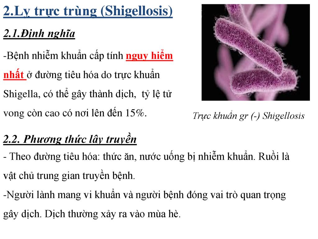 2.Lỵ trực trùng (Shigellosis)