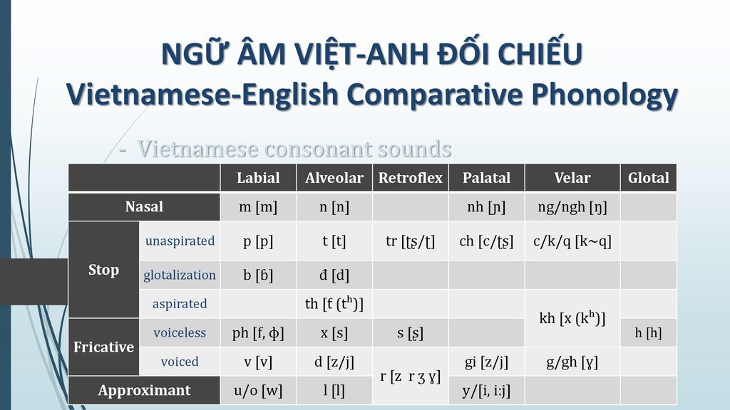 - Vietnamese consonant sounds