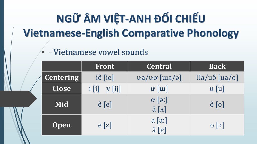 - Vietnamese vowel sounds
