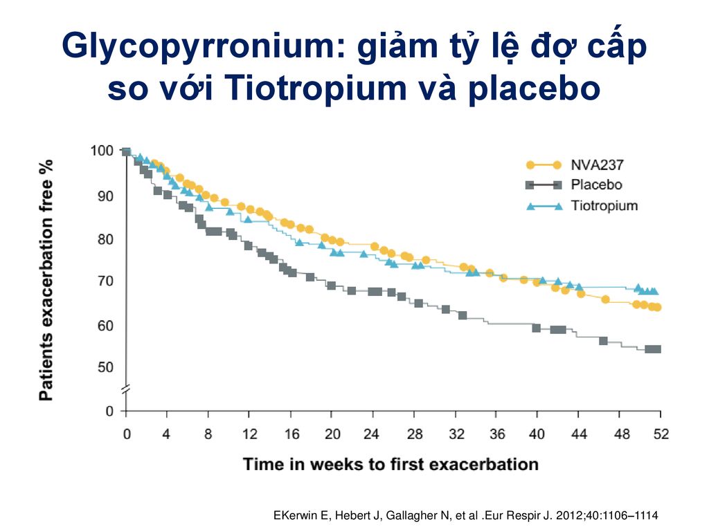 Glycopyrronium: giảm tỷ lệ đợ cấp so với Tiotropium và placebo