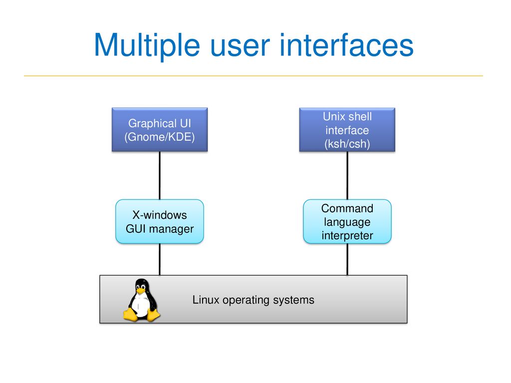 Multiple user interfaces